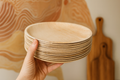 Palm Leaf Plates (Set of 25)